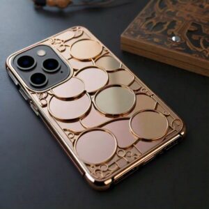 Santa Barbara Polo  Series for iPhone 17 (Brown)